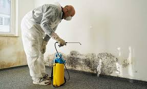 Best Biohazard Mold Removal  in Whitney, SC